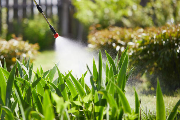24/7 Emergency Fumigation Services experts in Osborne, KS