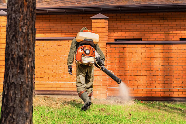 Trusted Cockroach Control service in Osborne, KS - Nex Pest Control